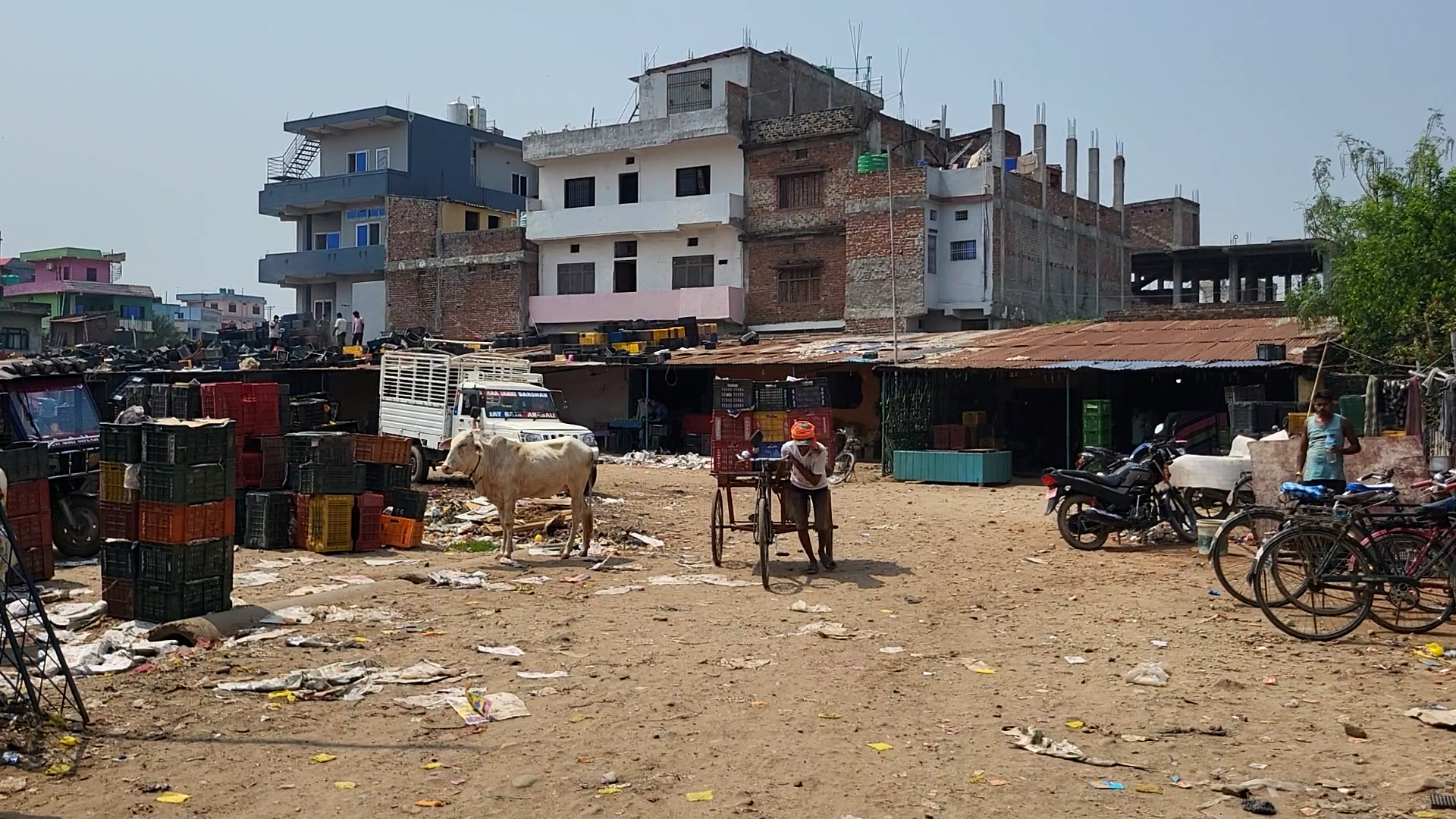 मासिक करोडौँ राजस्व तिर्दै आएको जनकपुरधामका फलफूल व्यवसायीहरू विस्थापित हुने अवस्थामा