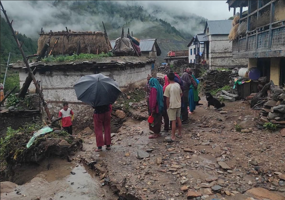 अविरल वर्षाले जुम्लाको सिंजामा कृषिबाली र संरचनामा क्षति